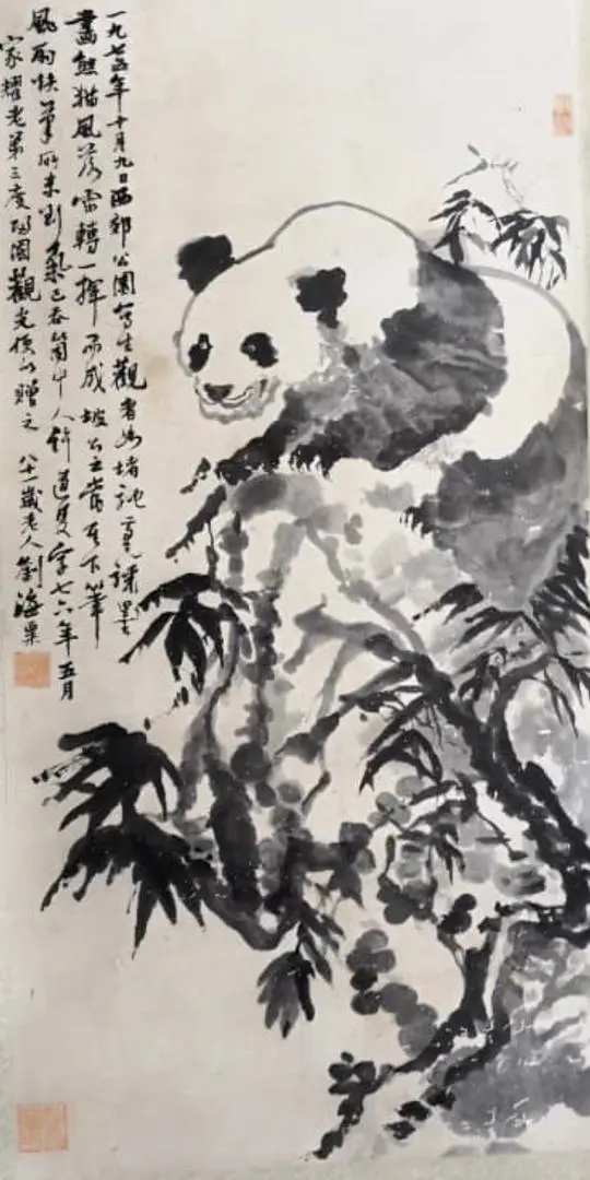 Panda LIU HAISU